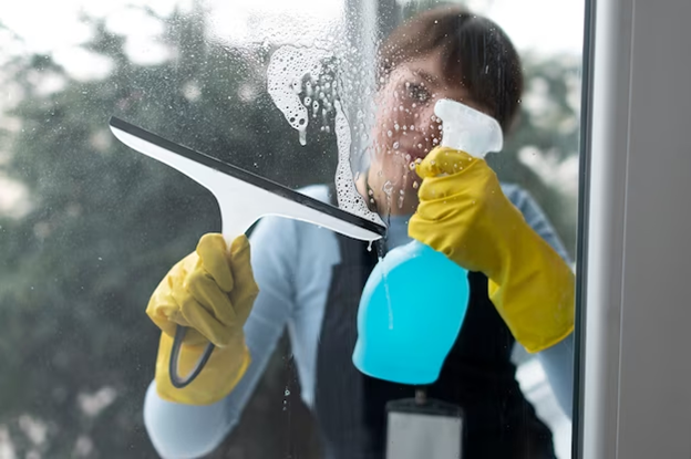 5. Cleaning Window Screens